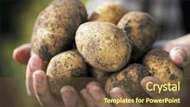  Presentation with harvest - Slides consisting of very short depth-of-field background and a tawny brown colored foreground