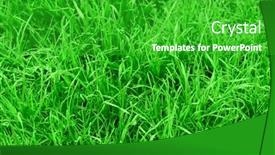  Presentation with succulent - Presentation theme with very succulent green grass background background and a shamrock green colored foreground