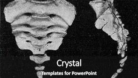  Presentation with spine - PPT layouts having vestige of the caudal spine background and a dark gray colored foreground