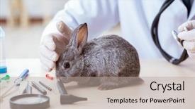  Presentation with vet imaging - Theme having vet doctor checking up rabbit background and a mint green colored foreground