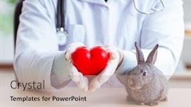  Presentation with vet imaging - Amazing PPT theme having vet-doctor-checking-up-rabbit backdrop and a coral colored foreground