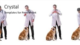  Presentation with metabolic doctor examining - Slide deck featuring vet doctor examining golden retriever background and a white colored foreground