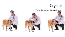  Presentation with vet - Slide deck enhanced with vet doctor examining golden retriever background and a white colored foreground