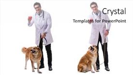  Presentation with vet - Slide deck enhanced with vet doctor examining golden retriever background and a white colored foreground