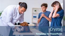  Presentation with vet - Amazing PPT layouts having vet doctor examining golden retriever dog in clinic backdrop and a ocean colored foreground