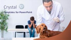  Presentation with vet - PPT theme consisting of vet doctor examining golden retriever dog in clinic background and a sky blue colored foreground