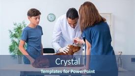  Presentation with vet - Cool new PPT layouts with vet doctor examining golden retriever dog in clinic backdrop and a ocean colored foreground