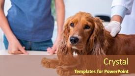  Presentation with vet - Beautiful theme featuring vet-doctor-examining-golden-retriever backdrop and a tawny brown colored foreground