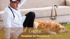  Presentation with vet - Presentation design having vet-doctor-examining-golden-retriever background and a red colored foreground