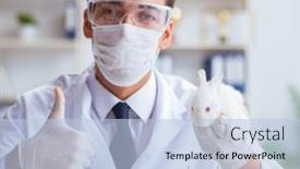  Presentation with vet - Presentation theme with vet-doctor-examining-rabbit background and a light blue colored foreground