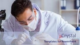  Presentation with vet - Amazing slides having vet-doctor-examining-rabbit backdrop and a lemonade colored foreground