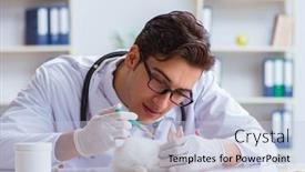  Presentation with vet - Audience pleasing slide deck consisting of vet-doctor-examining-rabbit backdrop and a lemonade colored foreground