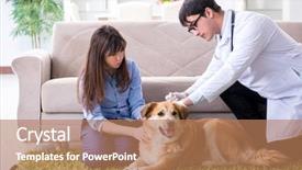  Presentation with doctor visiting family - Colorful presentation design enhanced with vet doctor visiting golden retriever backdrop and a coral colored foreground