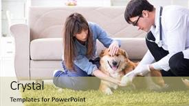  Presentation with vet - Presentation design consisting of vet doctor visiting golden retriever background and a  colored foreground