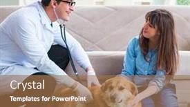  Presentation with vet - Beautiful slide set featuring vet-doctor-visiting-golden-retriever backdrop and a coral colored foreground