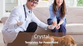  Presentation with vet - Colorful presentation theme enhanced with vet-doctor-visiting-golden-retriever backdrop and a tawny brown colored foreground