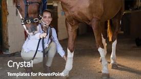  Presentation with vet - Audience pleasing PPT layouts consisting of vet examining horse in stable backdrop and a dark gray colored foreground