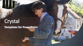  Presentation with vet - Theme with vet examining horse with stethescope background and a tawny brown colored foreground