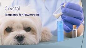  Presentation with homeopathic - Presentation enhanced with vet-holding-homeopathic-globules background and a sky blue colored foreground