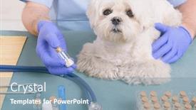  Presentation with homeopathic - Beautiful presentation featuring vet-holding-homeopathic-globules backdrop and a seafoam green colored foreground