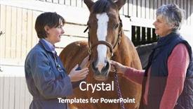  Presentation with vet - Colorful PPT layouts enhanced with vet in discussion with horse backdrop and a tawny brown colored foreground