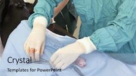  Presentation with vet - Audience pleasing presentation theme consisting of vet operating on dog backdrop and a light blue colored foreground