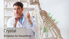  Presentation with radiology dog - Colorful presentation theme enhanced with vet practicing on dog skeleton backdrop and a  colored foreground