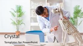  Presentation with vet - Audience pleasing presentation design consisting of vet practicing on dog skeleton backdrop and a  colored foreground