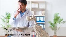  Presentation with dog templqtes - Presentation theme featuring vet practicing on dog skeleton background and a  colored foreground