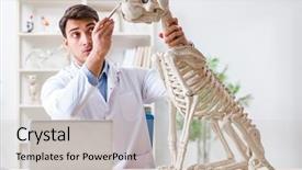  Presentation with dog templqtes - Slide set enhanced with vet practicing on dog skeleton background and a  colored foreground