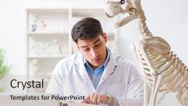  Presentation with superhero dog - Beautiful slide set featuring vet practicing on dog skeleton backdrop and a  colored foreground