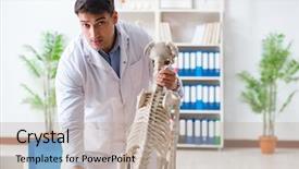  Presentation with human and dog paw print - Amazing PPT theme having vet practicing on dog skeleton backdrop and a  colored foreground