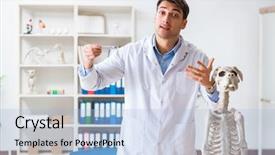  Presentation with dog cruelty - Beautiful presentation theme featuring vet practicing on dog skeleton backdrop and a  colored foreground