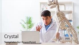  Presentation with vet - Amazing PPT theme having vet practicing on dog skeleton backdrop and a light gray colored foreground