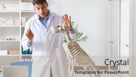  Presentation with magic wand dog - Beautiful slide deck featuring vet practicing on dog skeleton backdrop and a  colored foreground