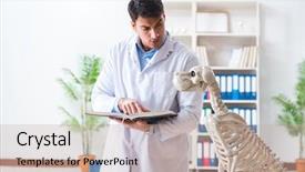  Presentation with vet imaging - Cool new PPT layouts with vet practicing on dog skeleton backdrop and a  colored foreground