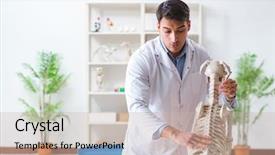  Presentation with superhero dog - Amazing PPT theme having vet practicing on dog skeleton backdrop and a  colored foreground