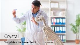  Presentation with dog cruelty - Slide set consisting of vet practicing on dog skeleton background and a  colored foreground