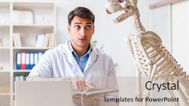  Presentation with vet - Colorful presentation design enhanced with vet practicing on dog skeleton backdrop and a  colored foreground