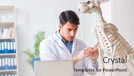  Presentation with skeleton - Audience pleasing slide set consisting of vet practicing on dog skeleton backdrop and a  colored foreground