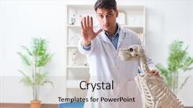  Presentation with vet - Slide set consisting of vet practicing on dog skeleton background and a  colored foreground