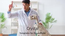  Presentation with radiology dog - Colorful slide set enhanced with vet practicing on dog skeleton backdrop and a  colored foreground