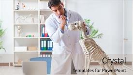  Presentation with skeleton for kids - Audience pleasing PPT theme consisting of vet practicing on dog skeleton backdrop and a  colored foreground