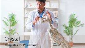  Presentation with vet - Beautiful presentation theme featuring vet practicing on dog skeleton backdrop and a  colored foreground