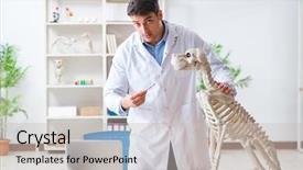 Presentation with vet - Presentation design enhanced with vet practicing on dog skeleton background and a  colored foreground