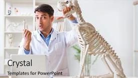  Presentation with vet - Beautiful slides featuring vet practicing on dog skeleton backdrop and a  colored foreground
