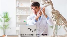  Presentation with superhero dog - Colorful presentation theme enhanced with vet practicing on dog skeleton backdrop and a  colored foreground