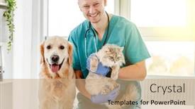  Presentation with cat dog - PPT theme consisting of vet-with-dog-and-cat background and a coral colored foreground