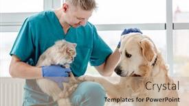  Presentation with vet - Amazing slide set having vet-with-dog-and-cat backdrop and a coral colored foreground
