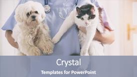  Presentation with vet - Audience pleasing PPT layouts consisting of vet with dog and cat backdrop and a mint green colored foreground